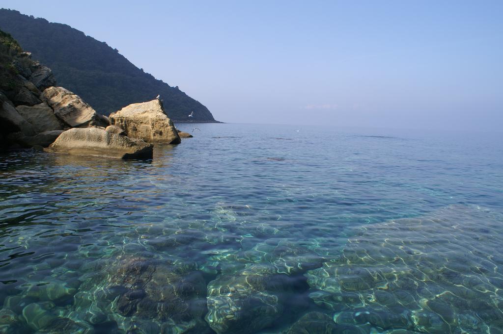 B&B Il Girasole Agropoli Εξωτερικό φωτογραφία