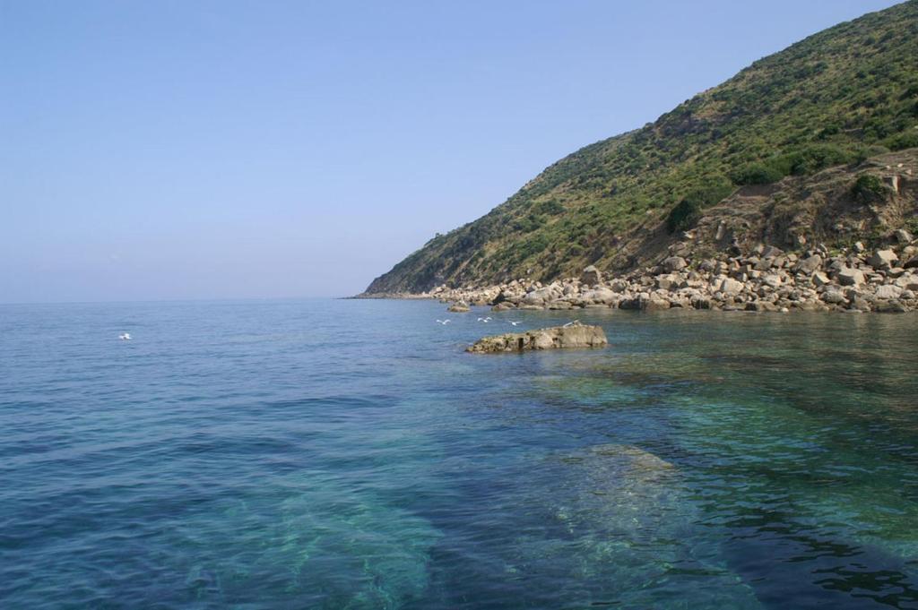 B&B Il Girasole Agropoli Εξωτερικό φωτογραφία