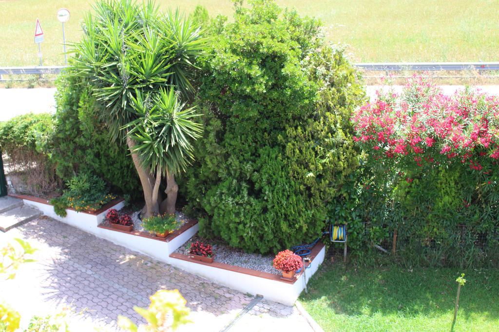 B&B Il Girasole Agropoli Εξωτερικό φωτογραφία
