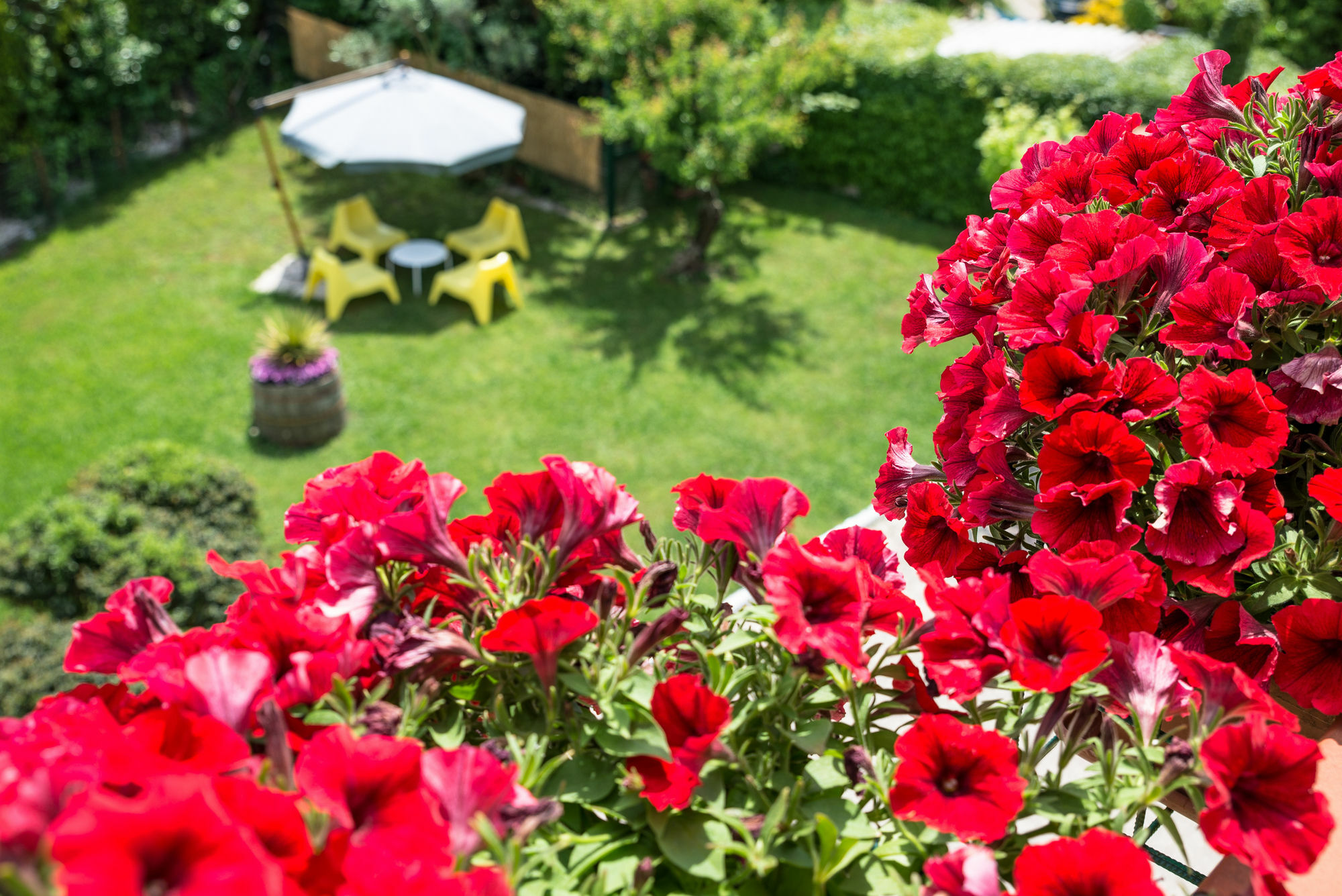 B&B Il Girasole Agropoli Εξωτερικό φωτογραφία
